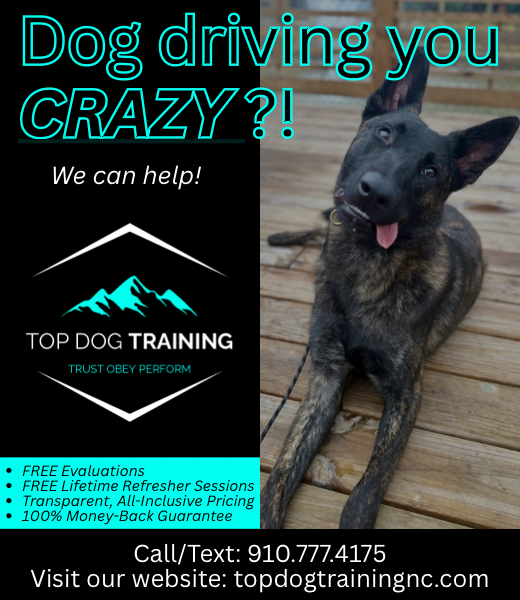 TOP Dog Training: Trusted, Certified, Ethical Dog Trainers